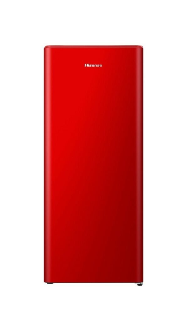 Hisense RR220D4BRE Free-standing refrigerator